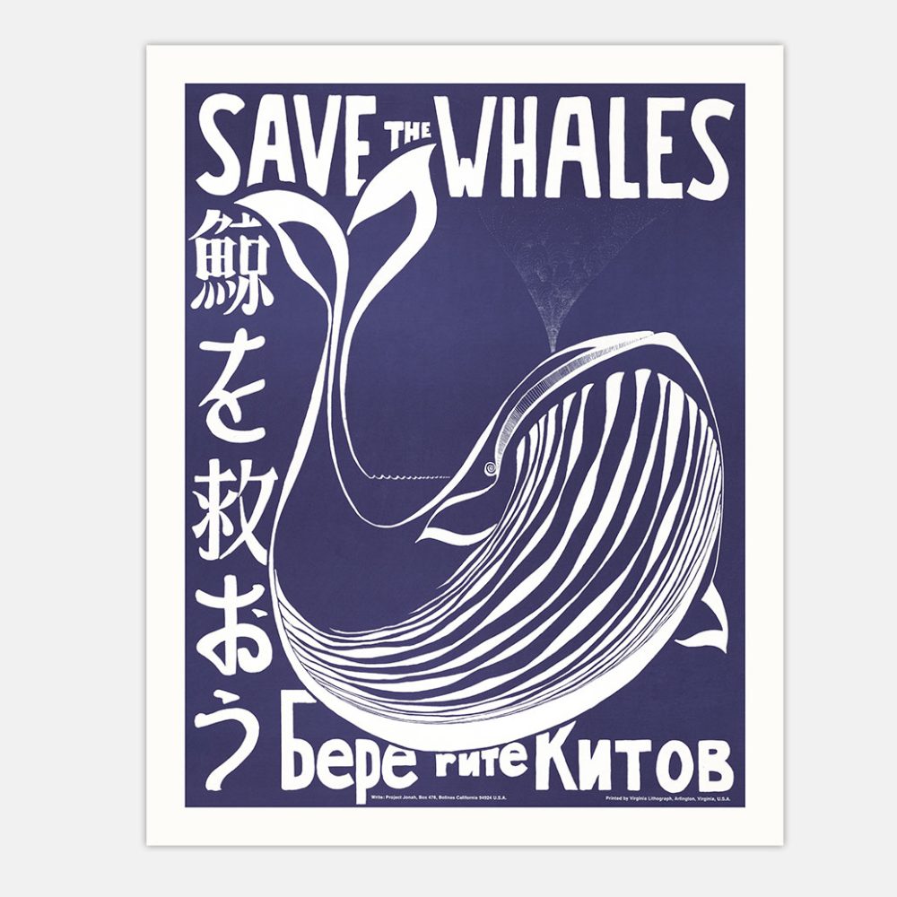 Save the whales