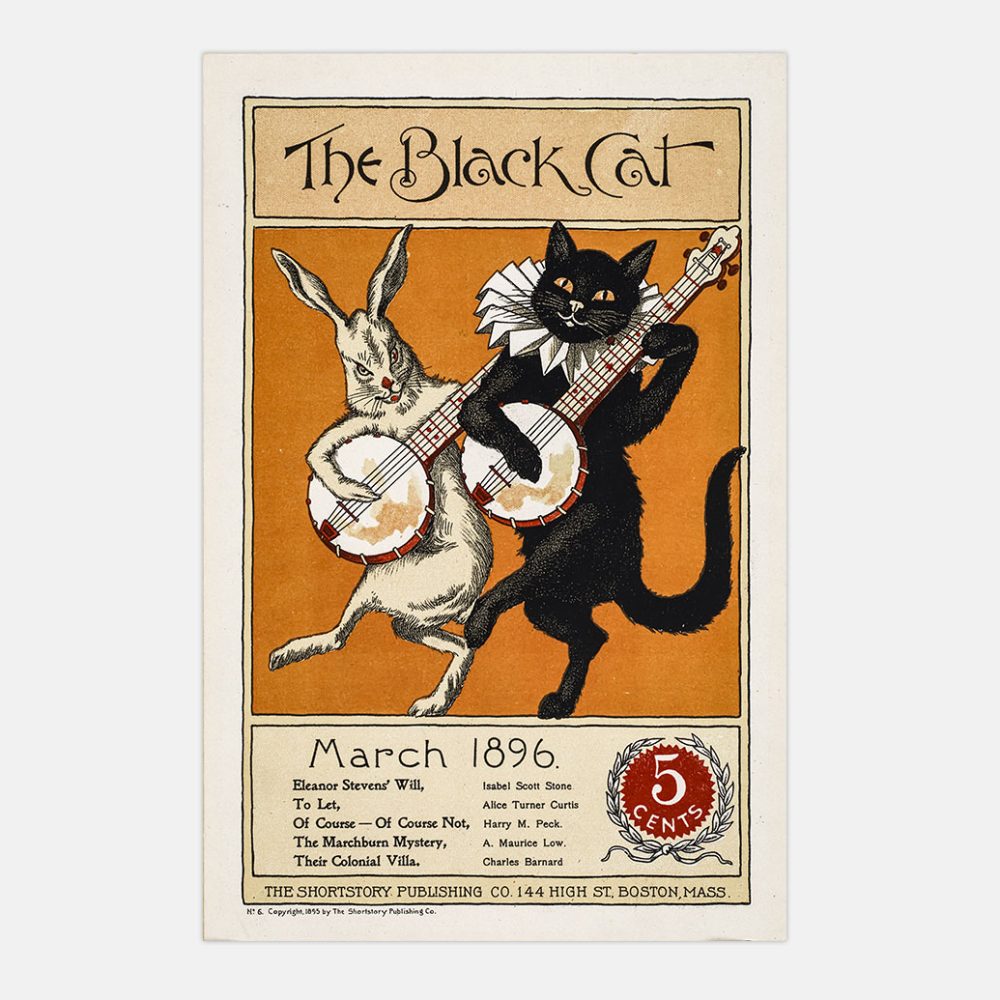 The Black Cat